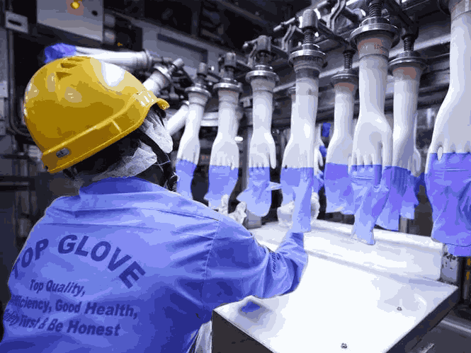 timuran_engineering_project_top_glove.png